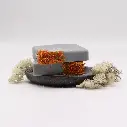 Sea Salt & Moss Soap Slice